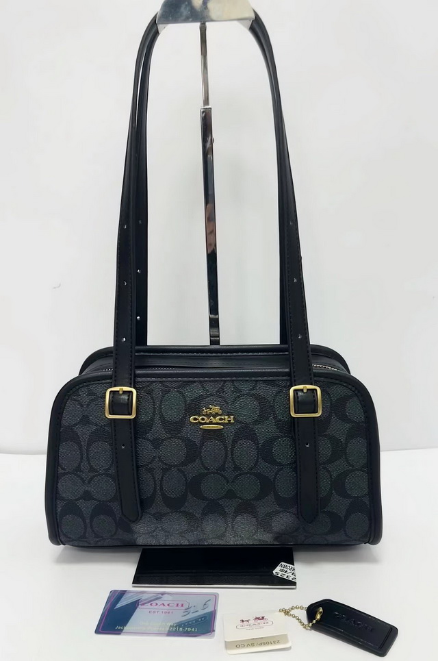 C0ACH Handbags 126 - Click Image to Close